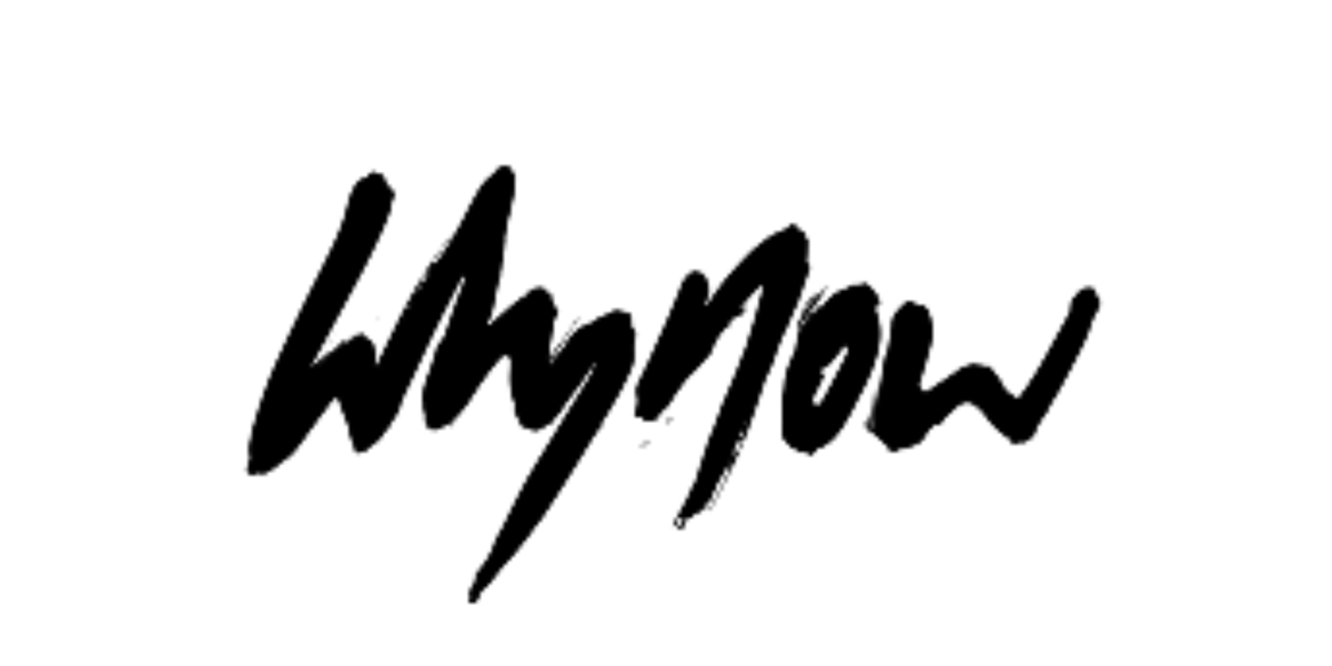 Whynow logo large