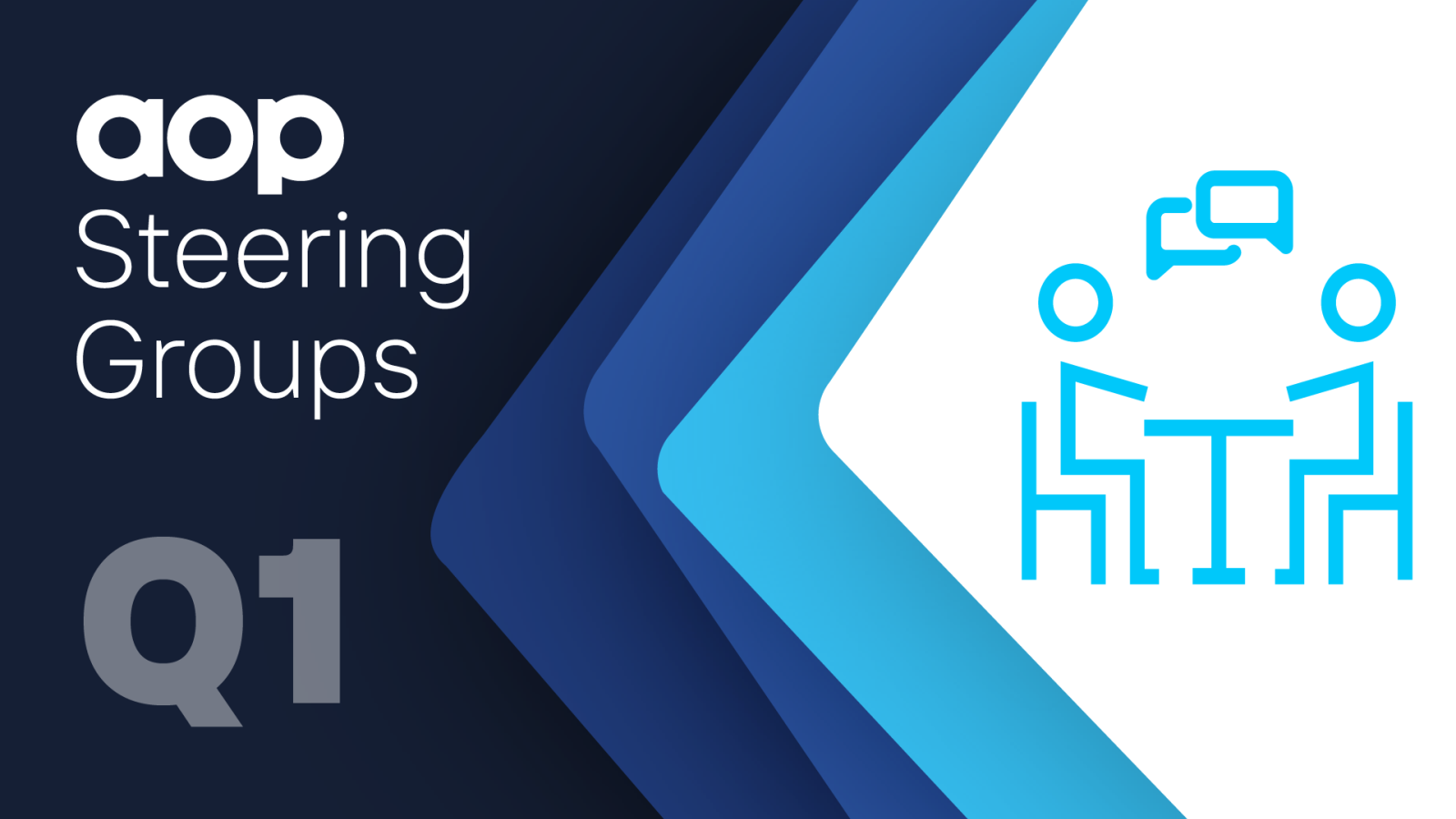AOP Steering Group Q1