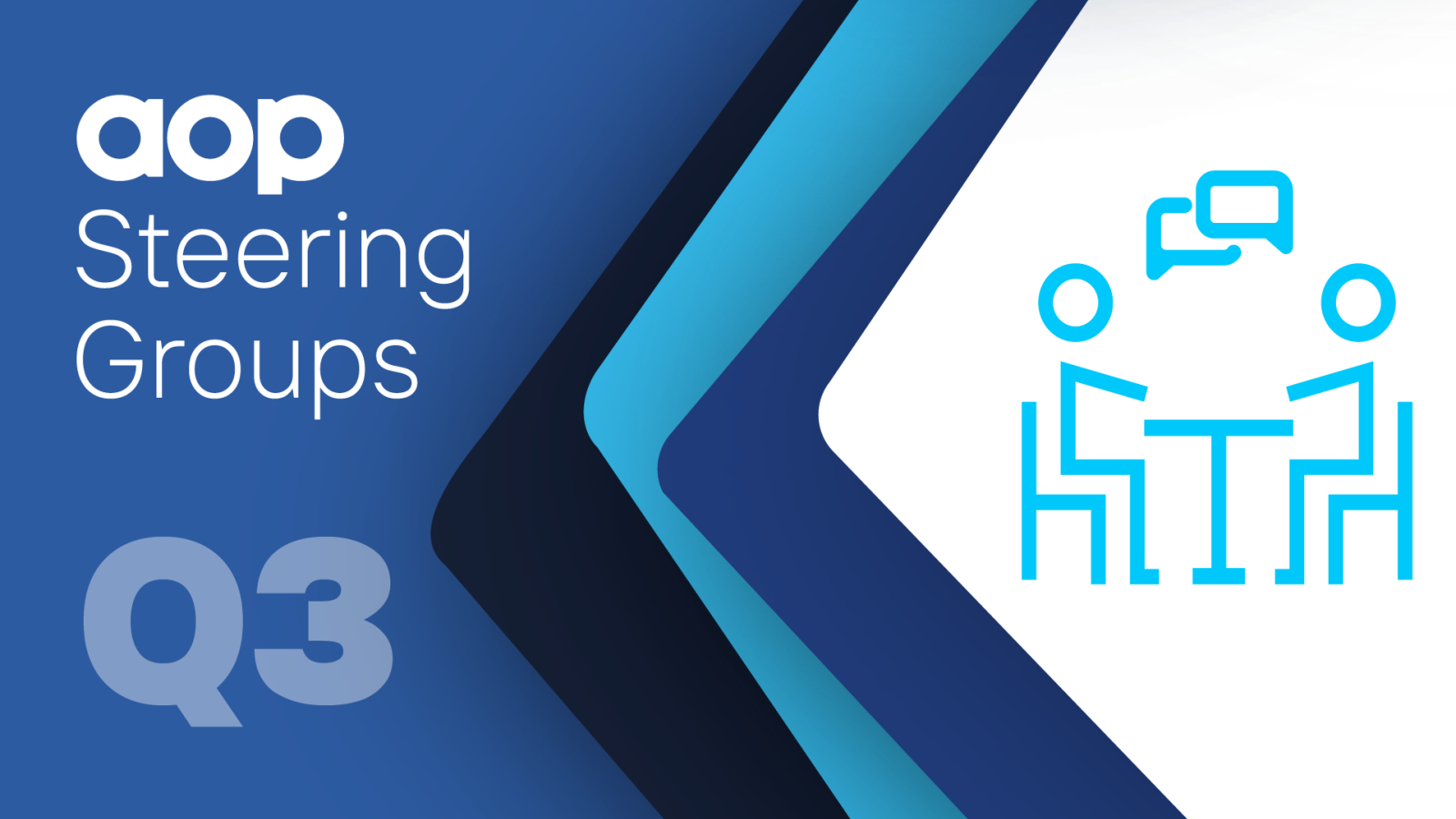 AOP Steering Group Q3