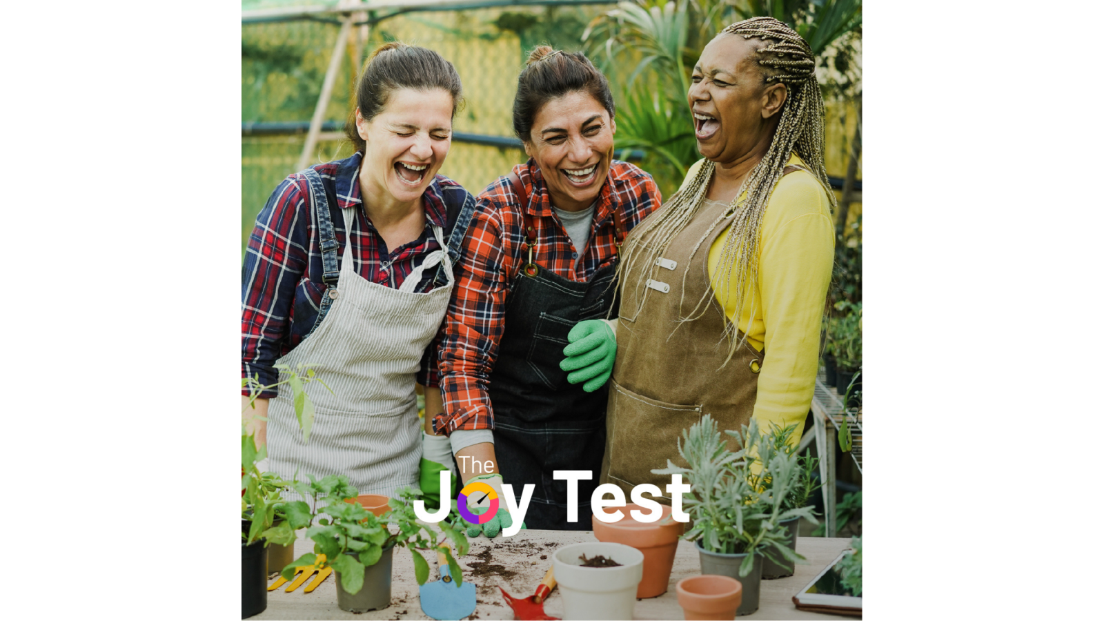 Joy Test PR