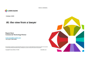 The view from a lawyer and AI expert – what could and should you be doing?