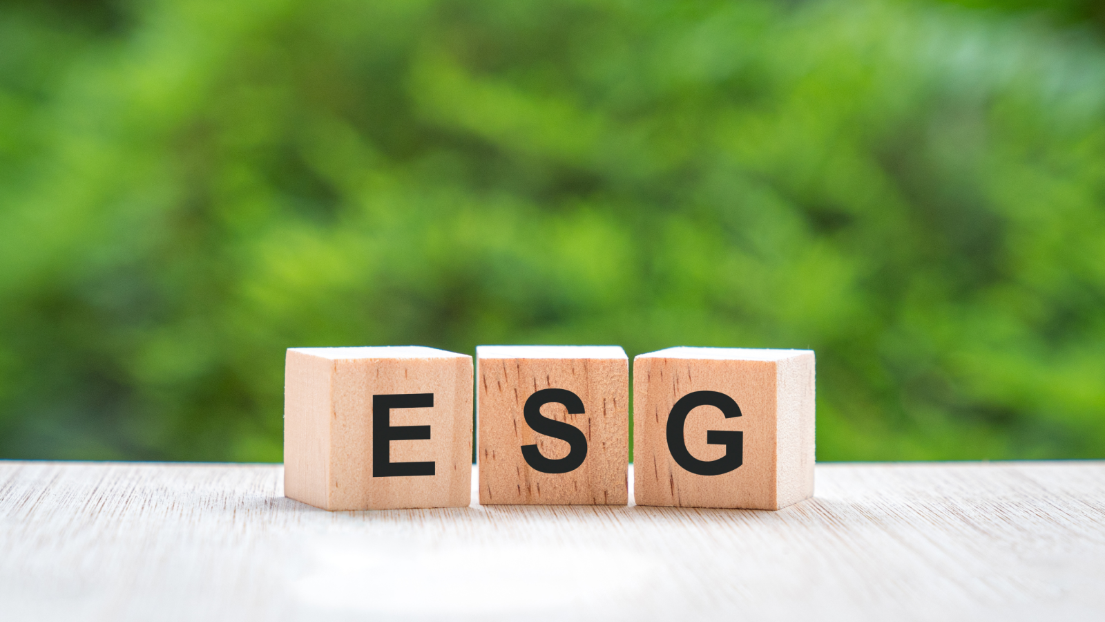 ESG image 1